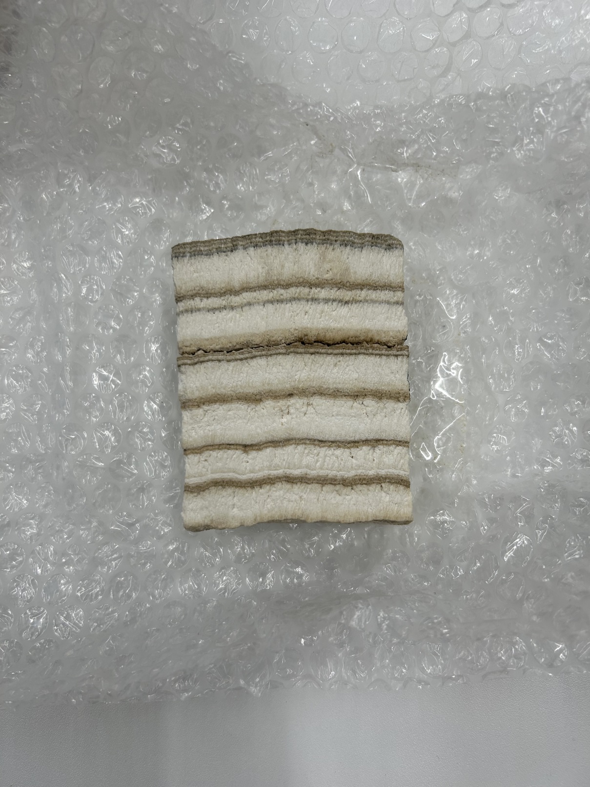 トラバーチン堆積物